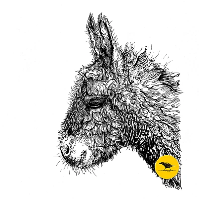 Schwarzweisse Tintezeichnung eines Esels