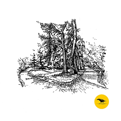 Schwarzweisse Tintezeichnung einer Landschaft