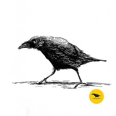 Schwarzweisse Tintezeichnung eines Vogels