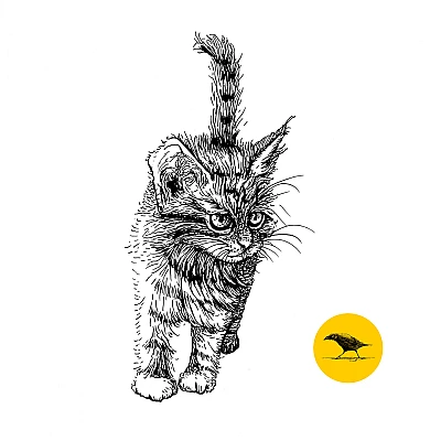 Schwarzweisse Tintezeichnung einer Katze