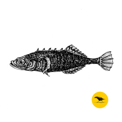 Schwarzweisse Tintezeichnung eines Fisches