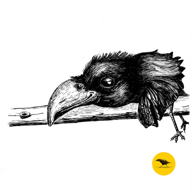 Schwarzweisse Tintezeichnung eines Vogels