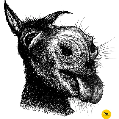 Schwarzweisse Tintezeichnung eines Esels