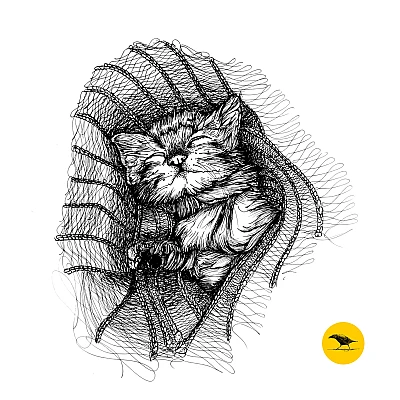 Schwarzweisse Tintezeichnung einer Katze