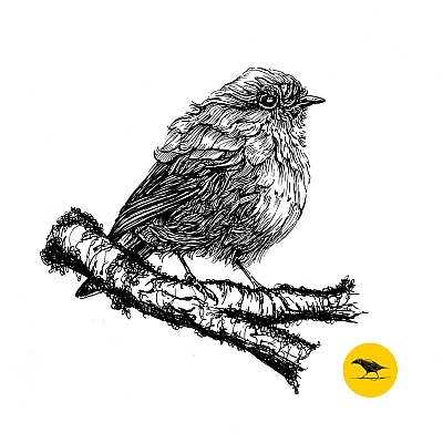 Schwarzweisse Tintezeichnung eines Vogels