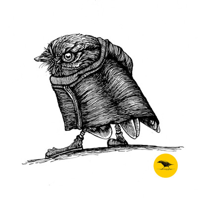 Schwarzweisse Tintezeichnung eines Vogels im Mantel