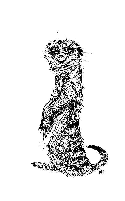 Schwarze Zeichnung eines Erdmännchens