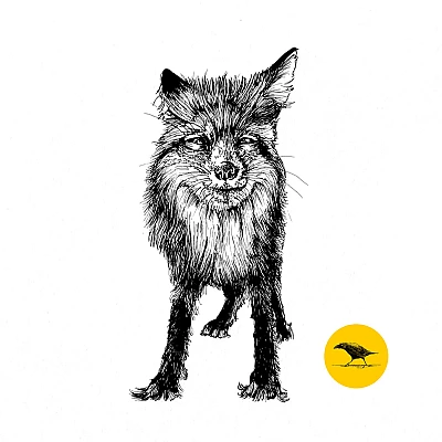 Schwarzweisse Tintezeichnung eines Fuchses