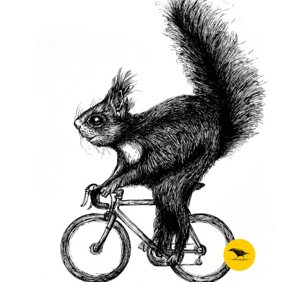 Schwarzweisse Tintezeichnung eines Eichhörnchens, das Fahrrad fährt