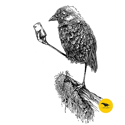 Schwarzweisse Tintezeichnung eines Vogels mit Handy
