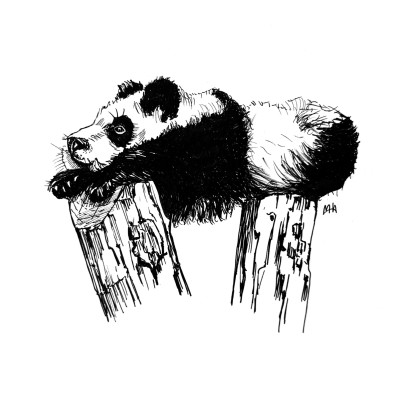 Schwarze Zeichnung eines Pandas