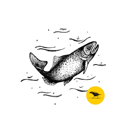 Schwarzweisse Tintezeichnung eines Fisches