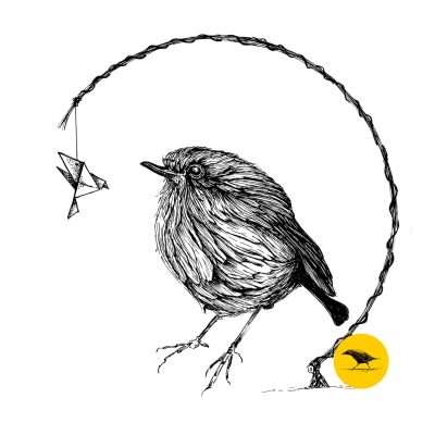 Schwarzweisse Tintezeichnung eines Vogels