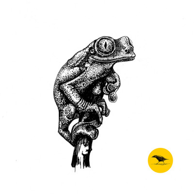 Tintezeichnung eines Frosches