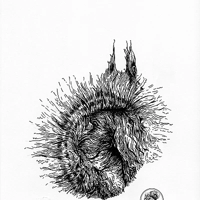 Schwarze Zeichnung eines Eichhörnchens.