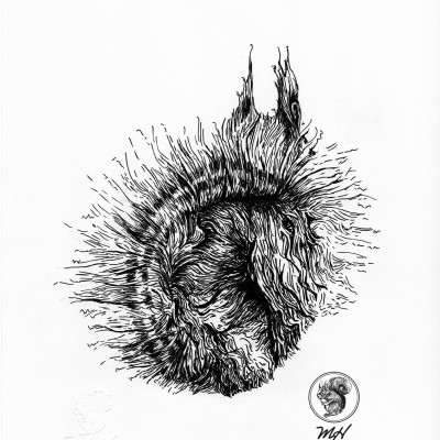 Schwarze Zeichnung eines Eichhörnchens.