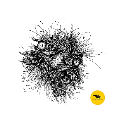 Schwarzweisse Tintezeichnung eines Vogels