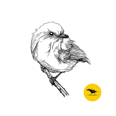 Schwarzweisse Tintezeichnung eines Vogels