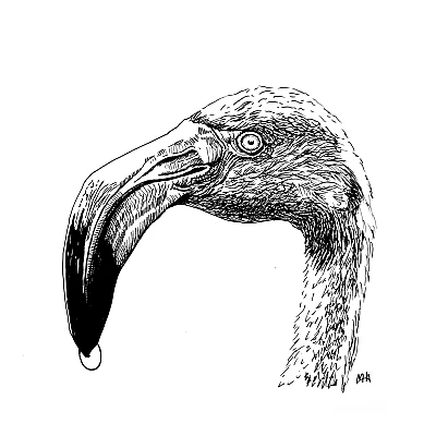 Schwarze Zeichnung eines Flamingos.