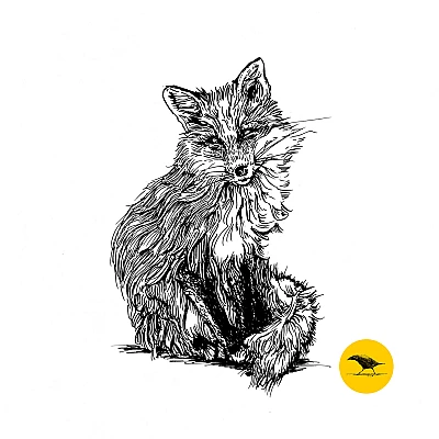 Schwarzweisse Tintezeichnung eines Fuchses