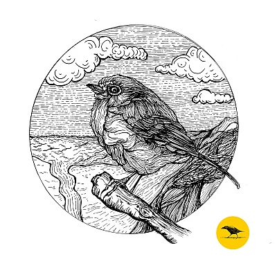 Schwarzweisse Tintezeichnung eines Vogels