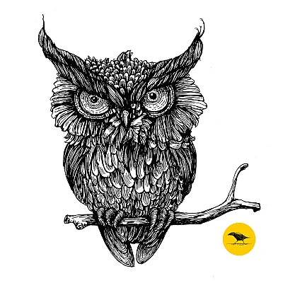 Schwarzweisse Tintezeichnung einer Eule