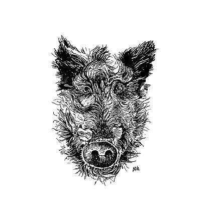 Schwarze Zeichnung eines Wildschweins