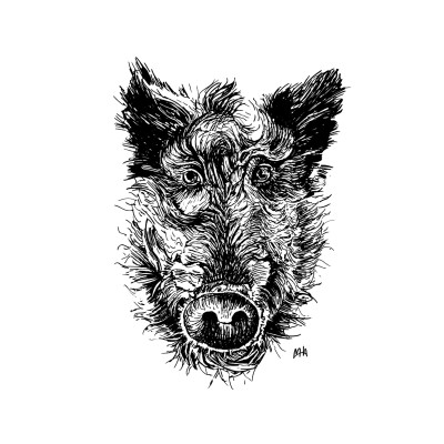Schwarze Zeichnung eines Wildschweins
