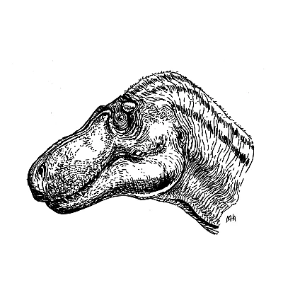 Schwarze Zeichnung eines Tyrannosaurus Rex.