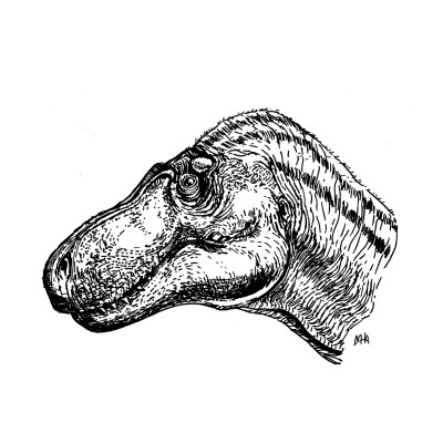 Schwarze Zeichnung eines Tyrannosaurus Rex.