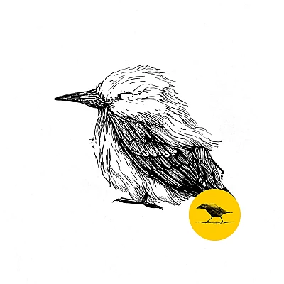 Schwarzweisse Tintezeichnung eines Vogels