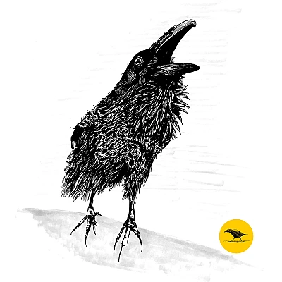 Schwarzweisse Tintezeichnung eines Vogels