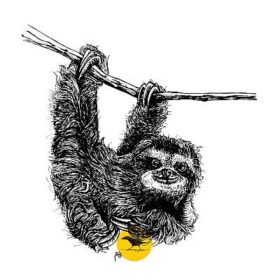 Schwarze Zeichnung eines kleinen Faultiers, das an einem Ast hängt.