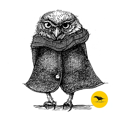 Schwarzweisse Tintezeichnung einer Eule