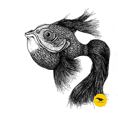 Schwarzweisse Tintezeichnung eines Fisches