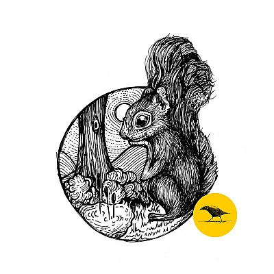 Schwarzweisse Tintezeichnung eines Eichhörnchens