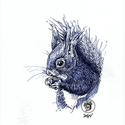 Blaue Zeichnung eines Eichhörnchens.