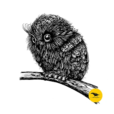 Schwarzweisse Tintezeichnung einer Eule