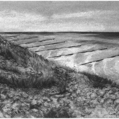 Graustufenzeichnung einer Meeresszene. Im Vordergrund Strandhafer und Sträucher, im Hintergrund das Meer mit Buhnen