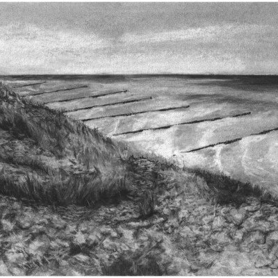 Graustufenzeichnung einer Meeresszene. Im Vordergrund Strandhafer und Sträucher, im Hintergrund das Meer mit Buhnen