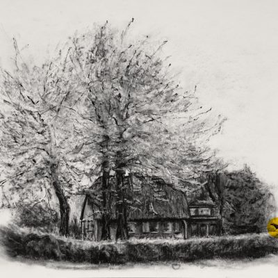 Graustufenzeichnung eines kleinen Hauses mit Reetdach, das in einem von einer Hecke umrahmten Garten steht und von drei Kirschbäumen überragt wird.