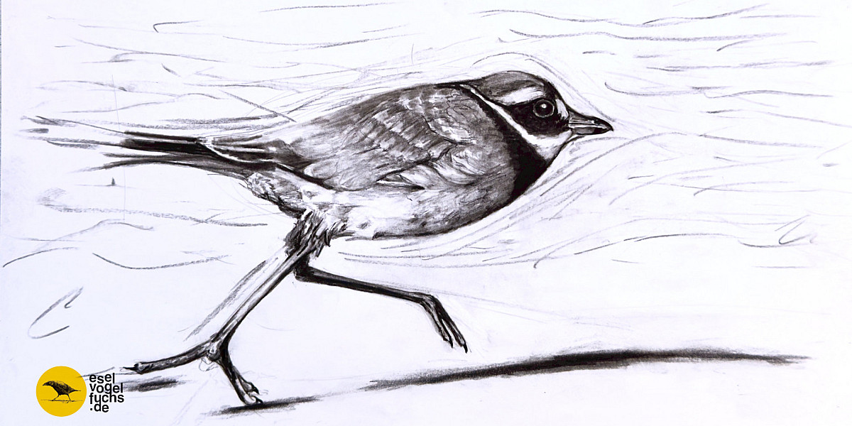 Graustufenzeichnung eines Vogels, der einen großen Schritt macht.