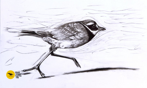 Graustufenzeichnung eines Vogels, der einen großen Schritt macht.