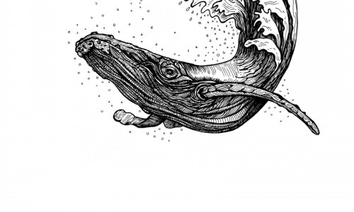 Schwarze Zeichnung eines Pottwals dessen Schwanzflossen in Wellen übergehen.