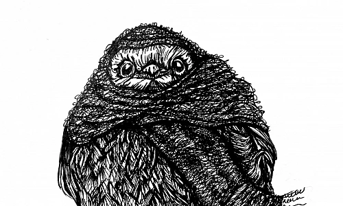 Tintezeichnung eines Vogels, der in ein dickes Tuch gehüllt, auf einem Ast sitzt.